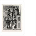 Weighing the Prince's Elk on Board the Osborne, Sweden by Anonymous