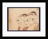 Bijin to Otafuku, Beauty and Otafuku by Anonymous