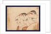Bijin to Otafuku, Beauty and Otafuku by Anonymous