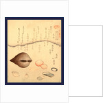 Hana Gai Aragai Masuo Gai, Aragai Hokkei, 1780-1850, by Anonymous