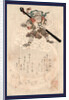 Son Goku, the Monkey Songoku from Travels to the West. 1812 by Anonymous