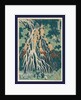 Shimotsuke Kurokami-Yama Kurifuri No Taki, Kirifuri Falls at Mount Kurokami in Shimosuke by Anonymous