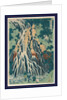 Shimotsuke Kurokami-Yama Kurifuri No Taki, Kirifuri Falls at Mount Kurokami in Shimosuke by Anonymous