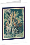 Shimotsuke Kurokami-Yama Kurifuri No Taki, Kirifuri Falls at Mount Kurokami in Shimosuke by Anonymous