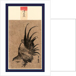 Niwatori, Chicken by Anonymous