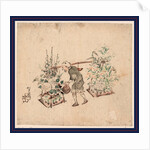 Hanauri, Flower Vendor by Anonymous