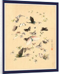 Butterflies and Moths by Anonymous