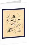 Butterflies and Moths by Anonymous