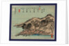 Daiichi by Anonymous
