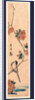 Kaido Ni Shokin, Small Bird on a Branch of Kaidozakura by Anonymous
