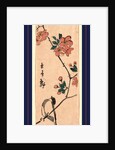 Kaido Ni Shokin, Small Bird on a Branch of Kaidozakura by Anonymous