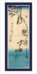 Kaido Ni Shokin, Small Bird on a Branch of Kaidozakura by Anonymous