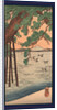 Kisibe no matsu, Pine tree on the shore by Utagawa Kuniyoshi