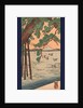 Kisibe no matsu, Pine tree on the shore by Utagawa Kuniyoshi