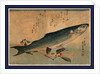 Bora Zu, Striped Mullet (Bora) by Anonymous