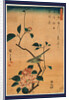 Tsubaki ni uguisu, Camellia and Bush Warbler by Ando Hiroshige