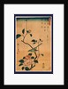 Tsubaki ni uguisu, Camellia and Bush Warbler by Ando Hiroshige