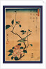 Tsubaki ni uguisu, Camellia and Bush Warbler by Ando Hiroshige