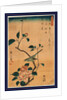 Tsubaki ni uguisu, Camellia and Bush Warbler by Ando Hiroshige