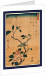 Tsubaki ni uguisu, Camellia and Bush Warbler by Ando Hiroshige
