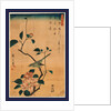 Tsubaki ni uguisu, Camellia and Bush Warbler by Ando Hiroshige