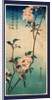 Kaido Ni Shokin, Small Bird on a Branch of Kaidozakura by Anonymous