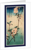 Kaido Ni Shokin, Small Bird on a Branch of Kaidozakura by Anonymous