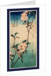 Kaido Ni Shokin, Small Bird on a Branch of Kaidozakura by Anonymous