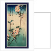 Kaido Ni Shokin, Small Bird on a Branch of Kaidozakura by Anonymous