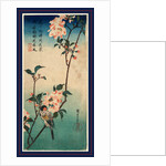 Kaido Ni Shokin, Small Bird on a Branch of Kaidozakura by Anonymous