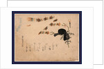 Kanmuri Ni Hiogi, Courtier's Cap and Folding Fan by Anonymous