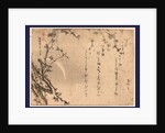 Plum Blossoms on Tree Branches with the Moon in the Background by Anonymous