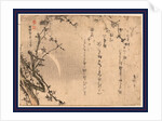 Plum Blossoms on Tree Branches with the Moon in the Background by Anonymous