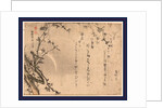Plum Blossoms on Tree Branches with the Moon in the Background by Anonymous