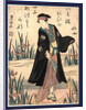 Segawa Kikunojo, the Actor Segawa Kikunojo by Anonymous