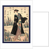 Segawa Kikunojo, the Actor Segawa Kikunojo by Anonymous