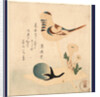 an Illustration of a Bird on a Stick with Flowers and an Unopened Blossom by Anonymous