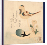 an Illustration of a Bird on a Stick with Flowers and an Unopened Blossom by Anonymous