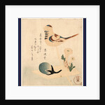 an Illustration of a Bird on a Stick with Flowers and an Unopened Blossom by Anonymous