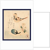 an Illustration of a Bird on a Stick with Flowers and an Unopened Blossom by Anonymous