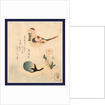 an Illustration of a Bird on a Stick with Flowers and an Unopened Blossom by Anonymous