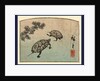 Two Turtles by Anonymous