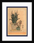 Two Flower Pots, One with Irises and the Other is the Pink Nadeshiko Flower by Anonymous