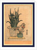 Two Flower Pots, One with Irises and the Other is the Pink Nadeshiko Flower by Anonymous