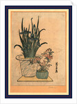 Two Flower Pots, One with Irises and the Other is the Pink Nadeshiko Flower by Anonymous
