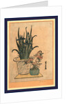 Two Flower Pots, One with Irises and the Other is the Pink Nadeshiko Flower by Anonymous