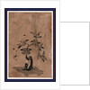 Monkey Sitting on a Bamboo Mat with Right Hand Raised, Holding a Flower Pot Containing a Loquat Plant Laden with Fruit. by Anonymous
