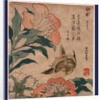 Shakuyaku Kana Ari, Peony and Canary by Anonymous