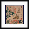 Shakuyaku Kana Ari, Peony and Canary by Anonymous
