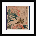 Shakuyaku Kana Ari, Peony and Canary by Anonymous